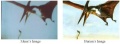 Both-pteranodon-pictures-side-by-side.jpg
