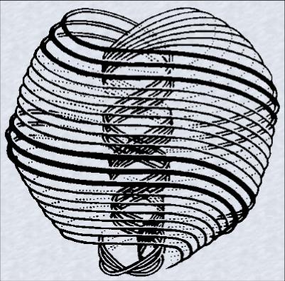 The doublespiral structure of the Creation