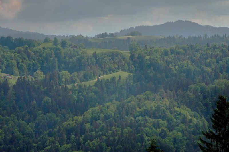 File:Nearby SSSC 176.jpg