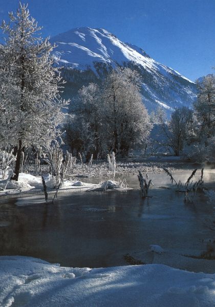 File:Der Rosarote Kristall Back.jpg