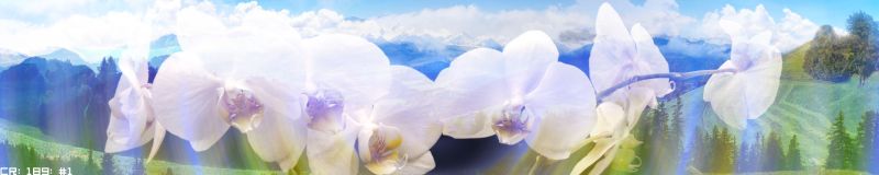 File:189 (JPG) 01.jpg