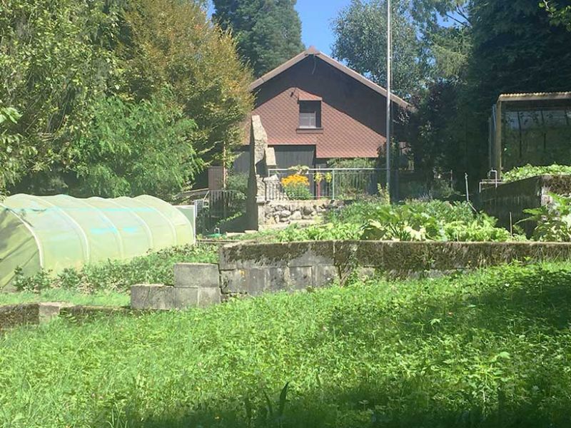 File:FIGU SSSC Garden.jpg