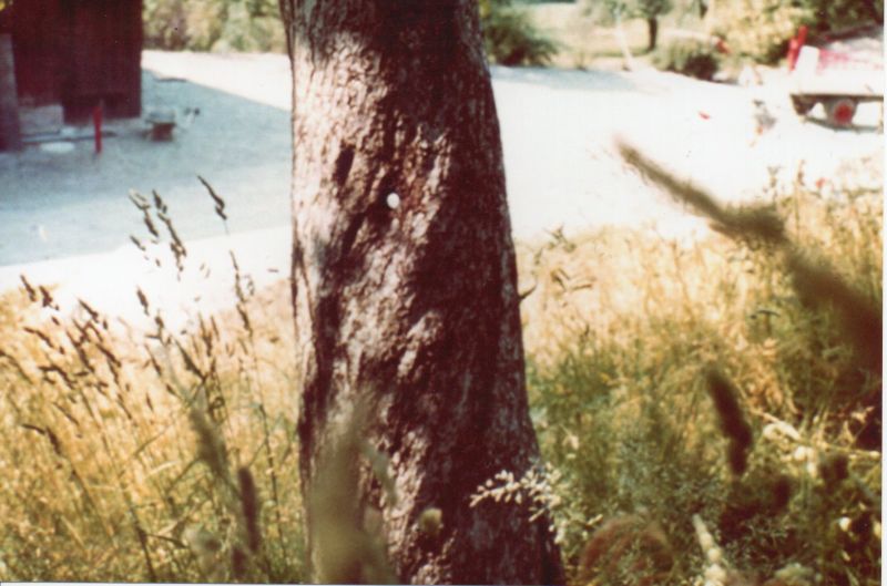 File:Meier20210126 15340039.jpg