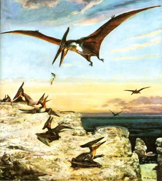 File:Pteranodon-painted-by-Zdenek-Burian.jpg